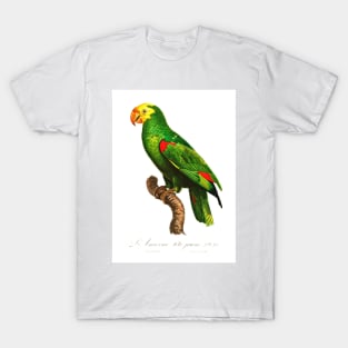 Yellow-Crowned Amazon Parrot T-Shirt